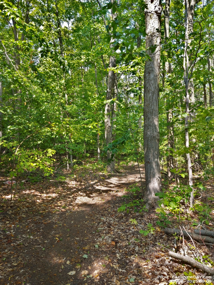 73292Le - Entering the West Ridge Trails on a lovely afternoon